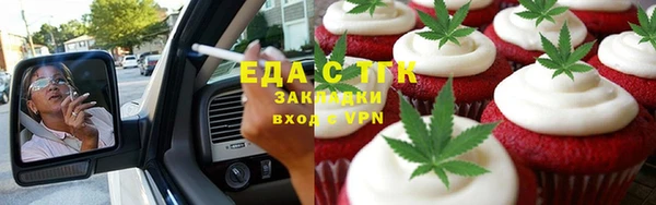крисы Касимов