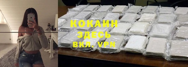 соль ск Алексин