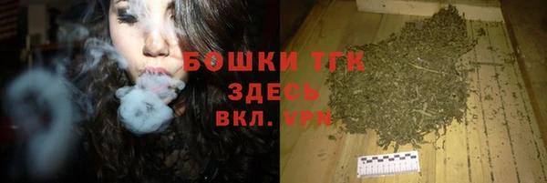 соль ск Алексин