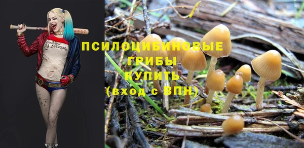 спиды Карпинск