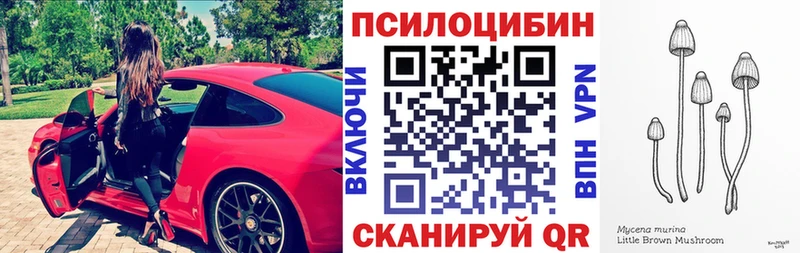 Галлюциногенные грибы GOLDEN TEACHER  даркнет сайт  Хотьково 